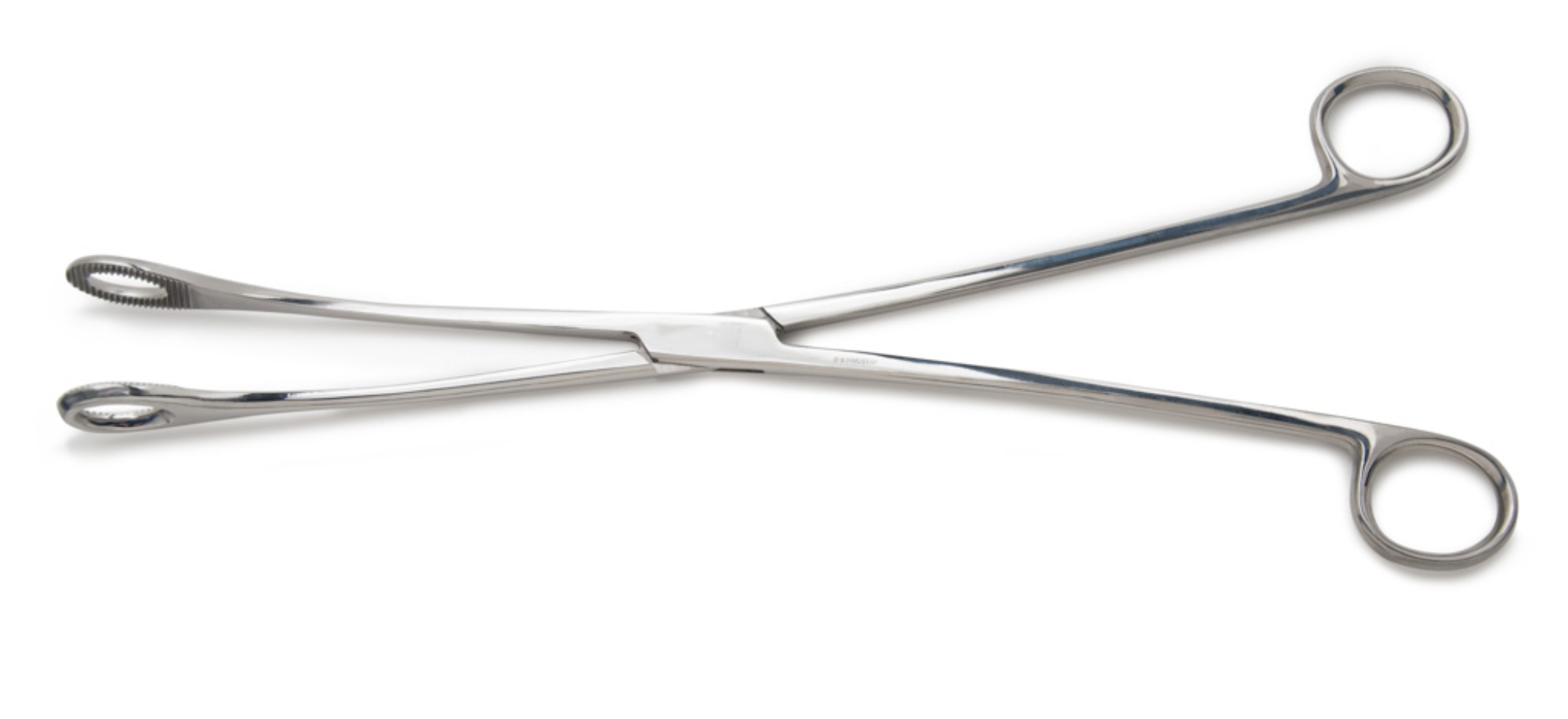 Forceps Placenta Grafco® Kelly 12 Inch [30.5cm] Length, Stainless Steel, Finger Ring Handle, Straight, Oval Tips, Serrated Jaws (1/EA) by Graham Field  ID 2849